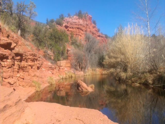 Sedona creek swimming tour