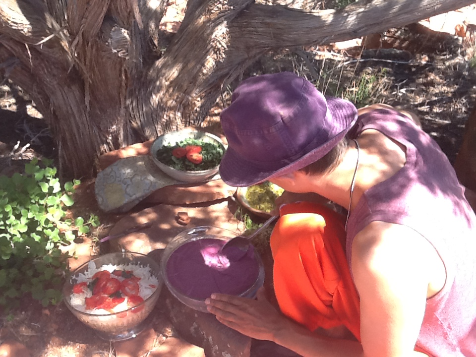 Healthy food picnic in Sedona