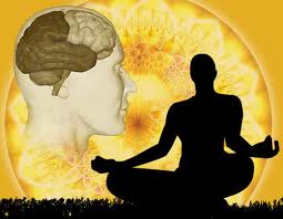 brain and siluet